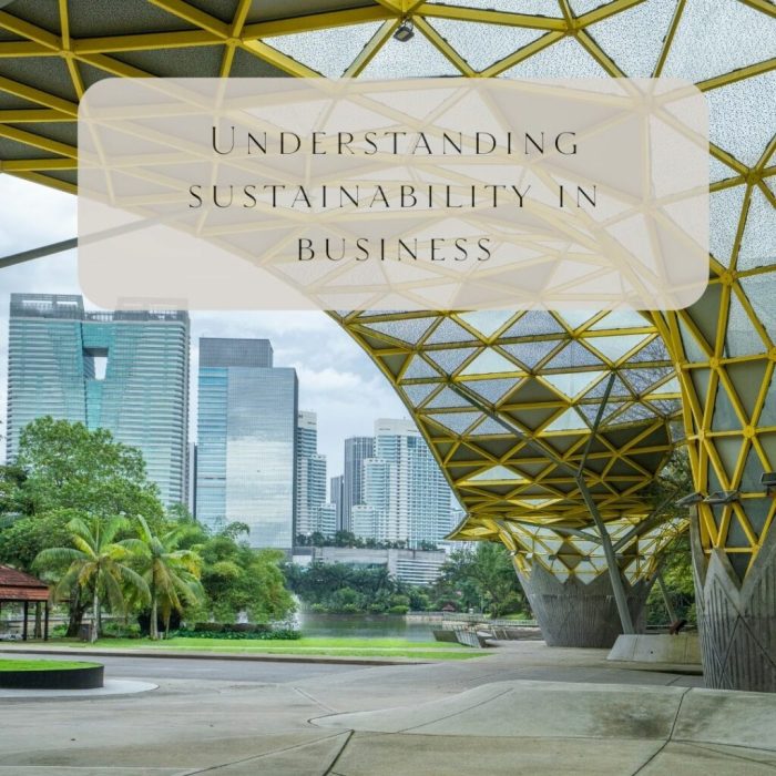 Sustainable business management