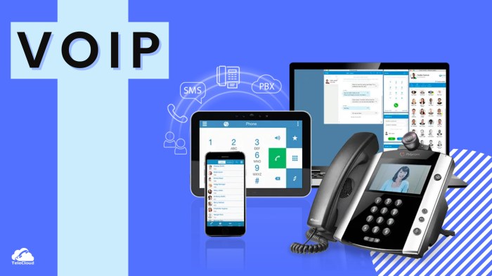 VoIP services and telecom